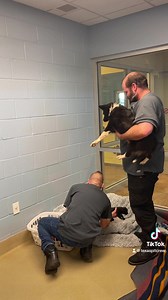 Mango and her little Fruit Loops got to go to a foster home today! The Fruit Loops will be ready for furever homes in about 5ish weeks. We are so thankful for her foster, the people in our group who work to coordinate these events, and Animal Services who keeps them safe and sound. Puppies supplies have cost us a lot of money in the last couple of weeks, so any donation would really help us. Thank you in advance! Fosters save lives 🖤🩷🖤 | Texas Pit Crew