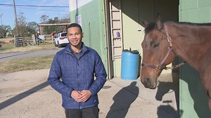 NOPD annual Horses Hops and Cops
