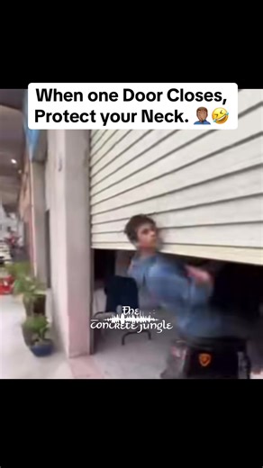 Navigating The Concrete Jungle: Artist Interviews