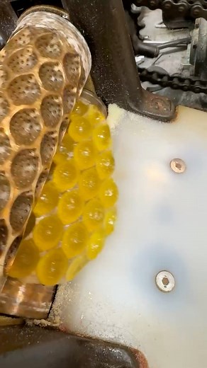 260K views · 3.4K reactions | ✨ Step back in time at Schimpff’s...