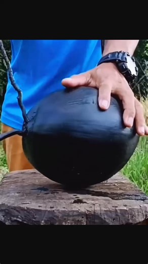 2.3K views · 5 comments | Kelapa unix banget warna hitam pekat #reelsvideoシ #fypシ #fyp #satisfying #coconut #asmr | Tractor Dan Mesin | Facebook