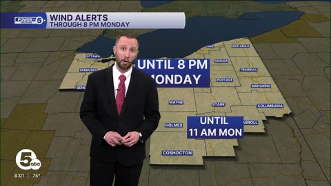 Wind advisory issued for several Northeast Ohio counties until Monday night