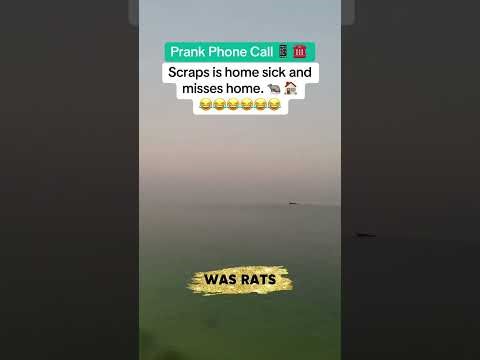 The Rat Is Homesick… So Pest Control Wants to Bring It Back 😂🤣 | Prank Phone Call