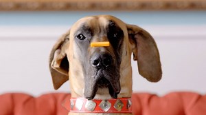 473K views · 546 reactions | Packed with big, bold flavor, our Snack Bites cheese snacks are fun for the whole family. | Sargento Cheese | Facebook