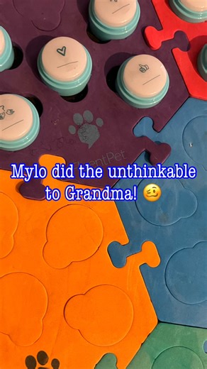 73K views · 1.8K reactions | What’s your dog’s toxic trait? Kicking people out the house. This is the 3rd time he’s done this ‍Button link in bio!  (current sale: 12% off $50 or more! Use code: MYLO)Love You, LEAVE Merch in bio! #talkingdogsofinstagram #fluentpet #smartdog #ohmymylo | Ohmymylo | Facebook