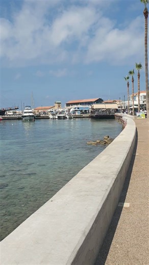 39K views · 1.8K reactions | Paphos Seafront this morning. | Paphos Life | Facebook