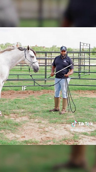 5 Ways to Teach Your Horse to Back Up Safely and Responsively