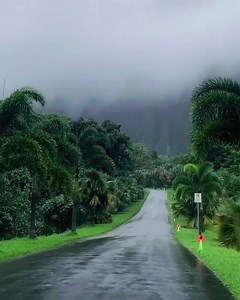 Exploring Oahu's Hoomaluhia Botanical Garden In Hawaii