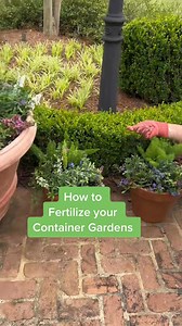 26K views · 396 reactions | One of my most asked questions: “How much fertilizer do I use in my containers?”  My rule is simple: keep the soil moist, grab a handful, sprinkle around the pot, and water it in well. You only need to fertilize once every 3 months! Want to see the exact fertilizer I use? Comment "GROW" for the exact fertilizer I use! XOXO  | Carmen Johnston Gardens | Facebook