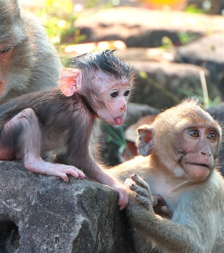 6.5K views · 197 reactions | Baby Naina grows a little more fragile...