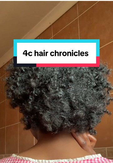 Afro Twist Hairstyles: Tips and Tricks for 4C Hair