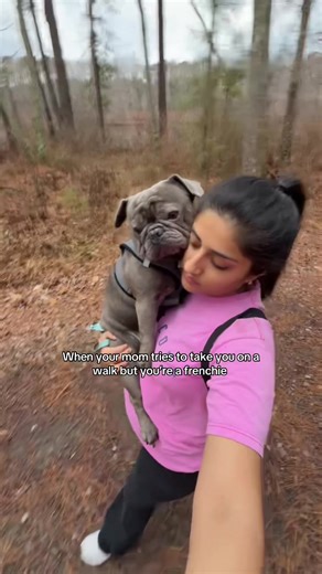 Frenchie Walk Fails: Hilarious Dog Moments