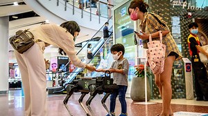 Video. Robot dog hounds Thai shoppers to keep hands virus-free