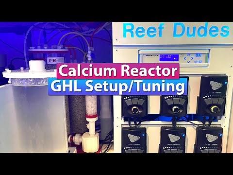Calcium Reactor Setup and tuning with GHL Profilux P4