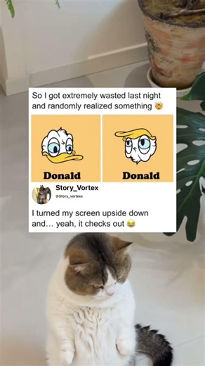 I turned my screen upside…