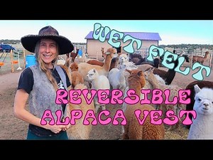 How to make an Alpaca Vest! 😱🦙🌈❤️⛰️