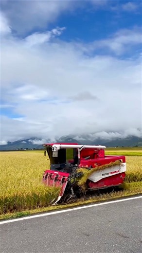 yanmar YH7120 paddy cutting machine 💥 #shorts #yanmar #harvester