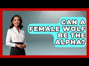 Can A Female Wolf Be The Alpha? - The Wild Life Explorer