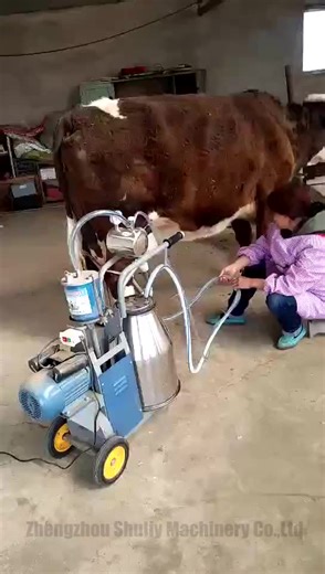 Male Milking Machine Penis Milk Machine for Sale in Pakistan Machine Milk