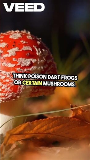 Poisonous vs. Venomous: What’s the Real Difference?