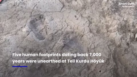 7,000-year-old human footprints unearthed in Turkey