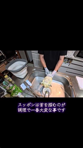 「信楽で獲れたスッポン。最後は極上のスープと煮凝りに。」#すっぽん #すっぽん料理 #すっぽんスープ #信楽#ジビエ料理スッポンを捌いて料理。