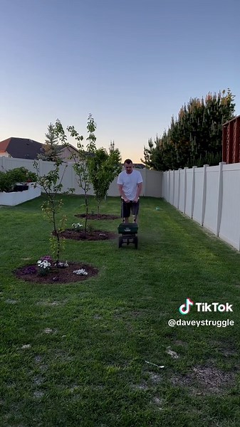 6-Month Lawn Leveling Journey