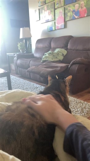 Slim eyed Sam on TikTok