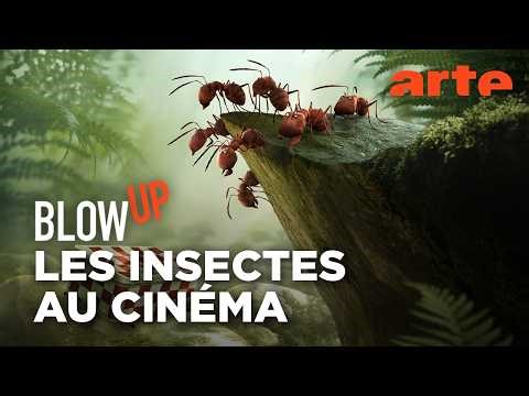 Les Insectes au cinéma - Blow Up - ARTE