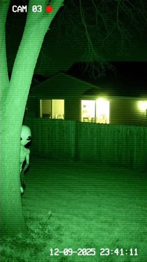 what is that #cctv #alien #nightvision