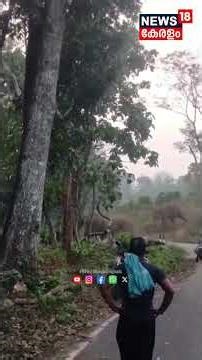 കോതമംഗലം, കോട്ടപ്പടിയിൽ ജനവാസമേഖലയിൽ കാട്ടാനക്കൂട്ടമിറങ്ങി | Wild Ele[hant Attack |Eranakulam | N18S
