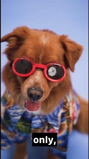 This Sentence Sounds Wrong… Until You Understand It 😳