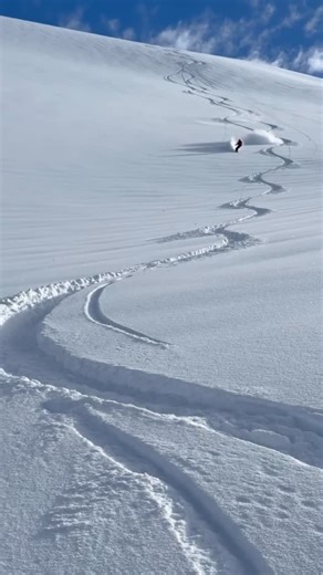 Selkirk Tangiers Heli Skiing on Instagram: "Feb 11th Conditions update: it’s good out there. 🙌 Tumbledown with guide Tom. Blue skies and great snow. ☀️❄️"