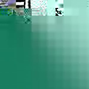 The Great Clips app makes keeping up with your favorite haircut effortless! Find your local salon, check in online and set haircut reminders all in one place – so you can spend more time on the GREAT things in life. Download the Great Clips app today to make your next visit a breeze.  | Great Clips | Facebook