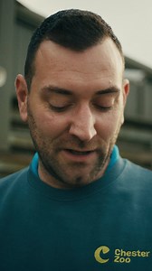 Conservation starts with you. Every visit, membership, adoption, donation and share of our story powers our vital mission to protect wildlife and inspire the conservationists of the future. From pioneering research here at our National Conservation Zoo, to species-saving projects around the world, we’re working tirelessly to create a future where nature can survive and thrive ❤️ | Chester Zoo | Facebook