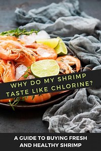 Why does shrimp sometimes taste like chlorine? [2025] | QAQooking.wiki