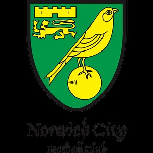 Norwich City Team News  - Soccer