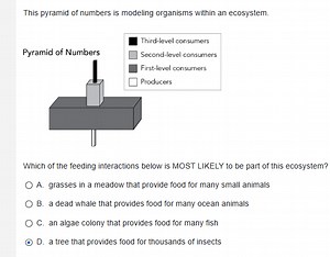 This pyramid of numbers is modeling organisms within an ecosyst... | Filo