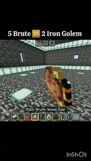 Iron Golem VS Brute Piglin || 2 VS 5 🤯