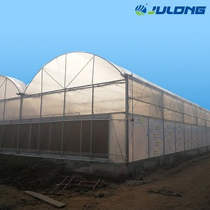 [Hot Item] Popular Hydroponic Film Arch Greenhouse for Sustainable Agriculture