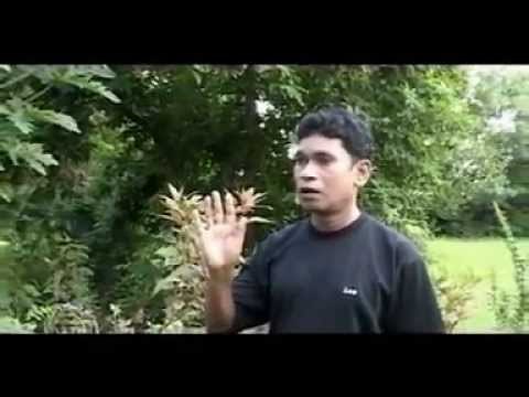 Lafanga Number Dedh -Full Comedy Natak - Superhit Chhattisgarhi Movie