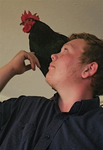 Sarah Embry on Reels | Facebook