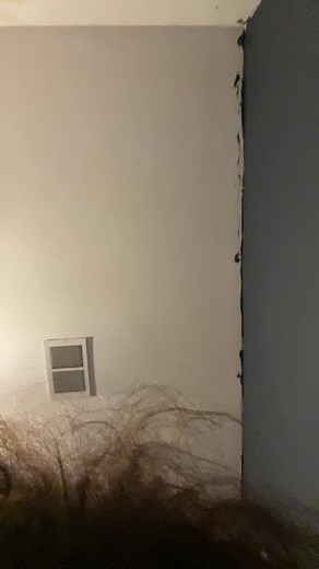 Edwardsworld on TikTok