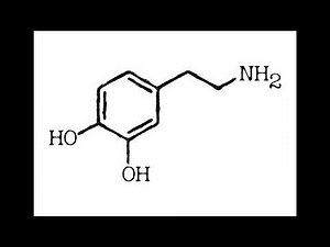 Revealed: the Secret to Dopamine Recovery - Subliminal Power Awaits You!