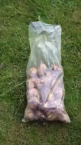 41K views · 166 reactions | How to peel potatoes super fast | Tune Channel | Facebook