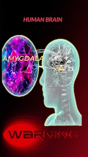 Stop Loss | Trading Psychology #gospelmusic #niftynivesh #trading #priceaction #emotional#control