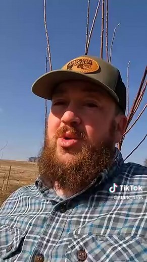 Stark Bro's Nursery & Orchards on TikTok