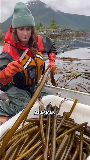 This Ocean Plant Is a Game Changer