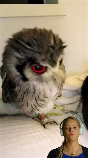 are his eyes that red?