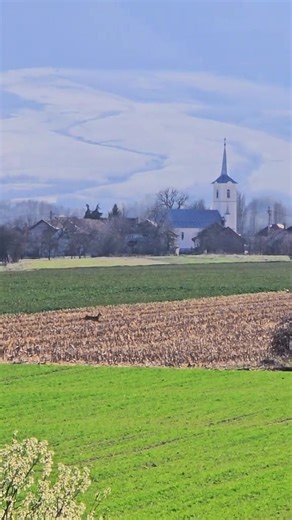 Do you feel spring coming? The village exhales slowly after winter’s long occupation. Mud loosens, roofs drip, and the fields behind the houses awaken like a great animal stretching its spine. Here the land is not decoration but livelihood, carved into narrow strips of soil where last year’s corn still lingers as brittle stubble and new crops push through with that improbable, almost luminous green. A roe deer cuts across the fields as if sketched by a hurried hand, vanishing between the plots w